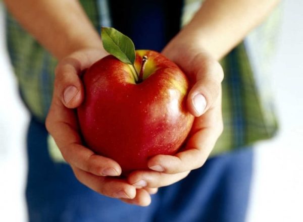  मानव शरीर के लिए सेब का उपयोग, संरचना, नुकसान क्या है, क्या यह फल हर किसी के लिए संभव है?